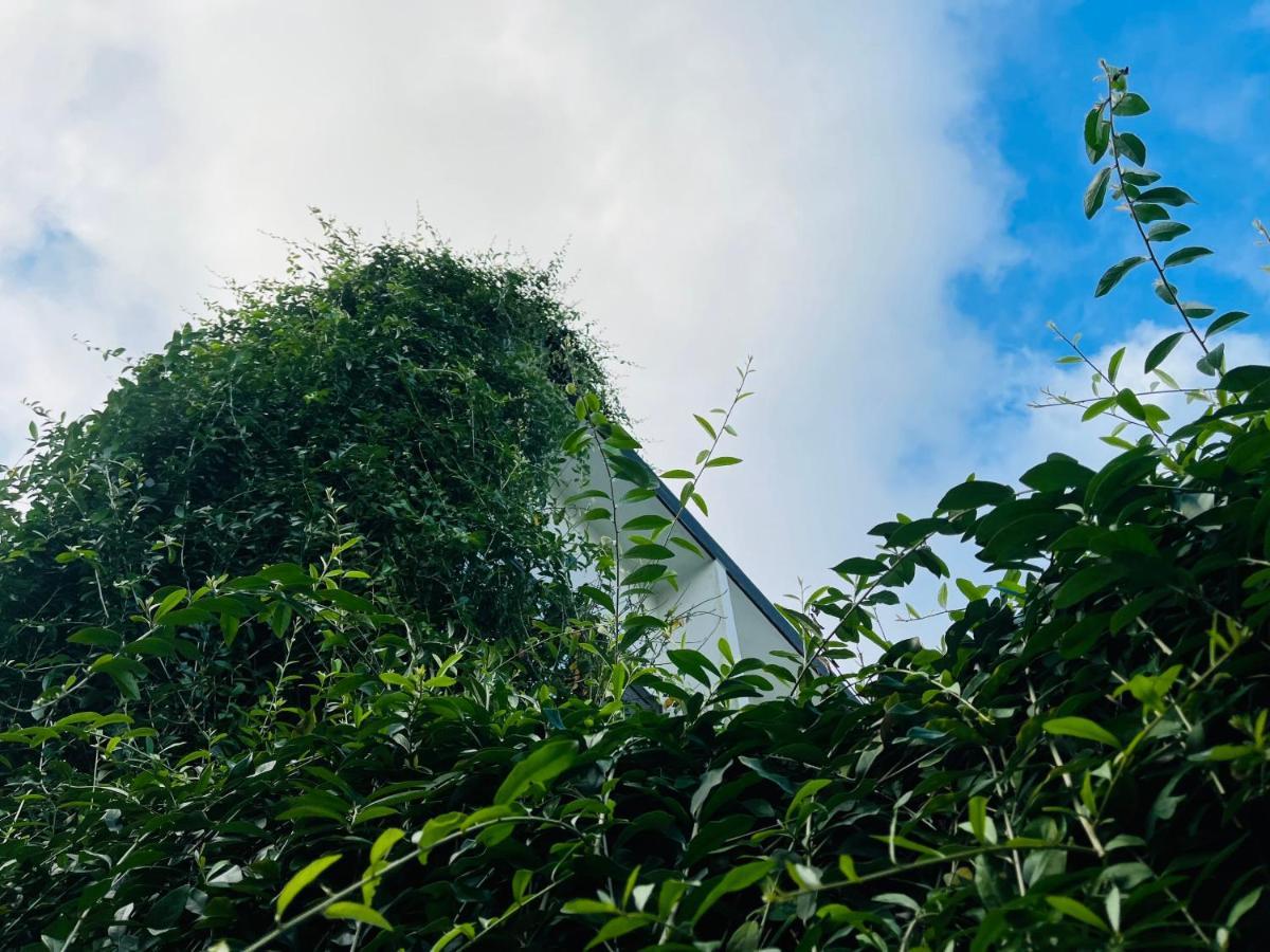 Coto Center Homestay Đảo Cô Tô Esterno foto